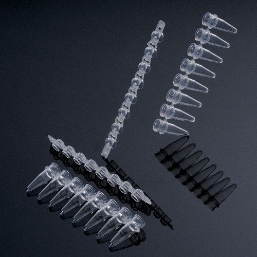 pcr8