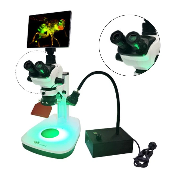 DK-300X Stereo Microscope Fluorescence Adapter
