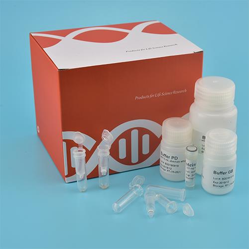 Βακτηριακό γονιδιωματικό DNA Kit (Στήλη Spin)